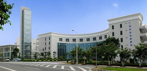 空氣污染致癌風險高,綠陽為您健康保駕護航