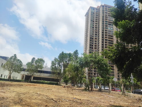 北海市中心北海大道旁這個(gè)老工廠(chǎng)開(kāi)始拆了,準(zhǔn)備搞房地產(chǎn)項(xiàng)目