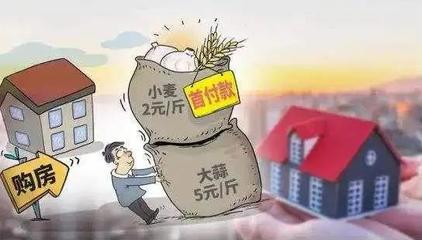 小麥換房、西瓜換房、首付分期&hellip;為何被叫停?